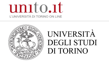 Survey, Università degli Studi di Torino
